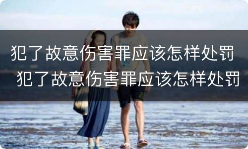 犯了故意伤害罪应该怎样处罚 犯了故意伤害罪应该怎样处罚他