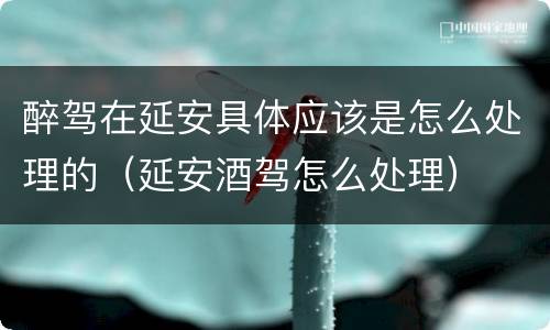 醉驾在延安具体应该是怎么处理的（延安酒驾怎么处理）