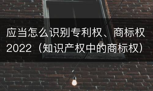 应当怎么识别专利权、商标权2022(知识产权中的商标权)