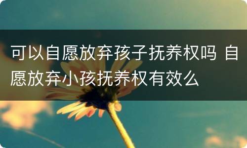 可以自愿放弃孩子抚养权吗 自愿放弃小孩抚养权有效么