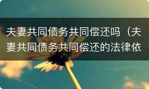 夫妻共同债务共同偿还吗（夫妻共同债务共同偿还的法律依据）