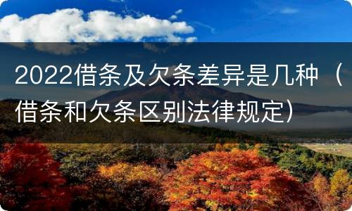 2022借条及欠条差异是几种（借条和欠条区别法律规定）