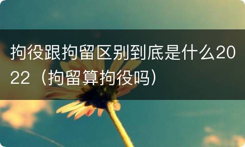 拘役跟拘留区别到底是什么2022（拘留算拘役吗）