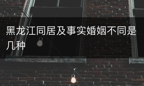 黑龙江同居及事实婚姻不同是几种