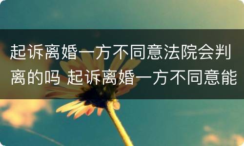 起诉离婚一方不同意法院会判离的吗 起诉离婚一方不同意能判离吗