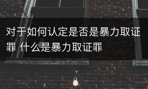 对于如何认定是否是暴力取证罪 什么是暴力取证罪