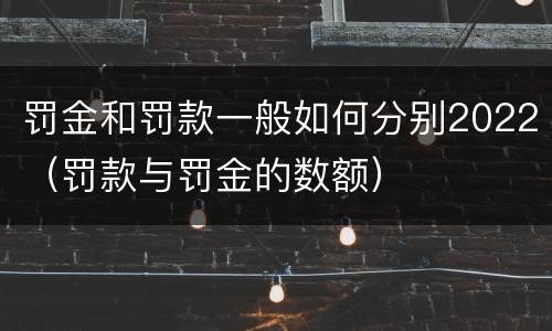 罚金和罚款一般如何分别2022（罚款与罚金的数额）