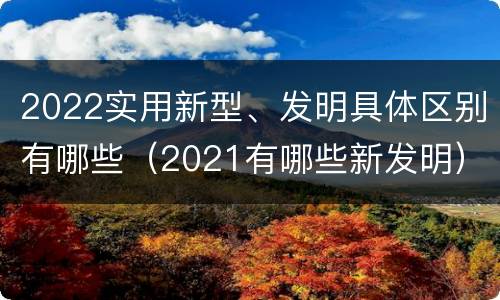 2022实用新型、发明具体区别有哪些（2021有哪些新发明）