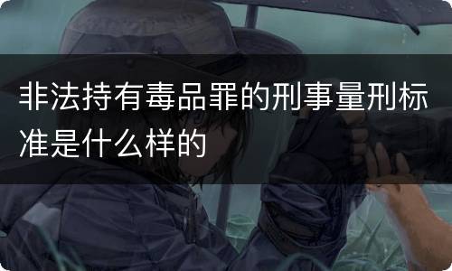 非法持有毒品罪的刑事量刑标准是什么样的