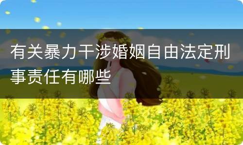 有关暴力干涉婚姻自由法定刑事责任有哪些