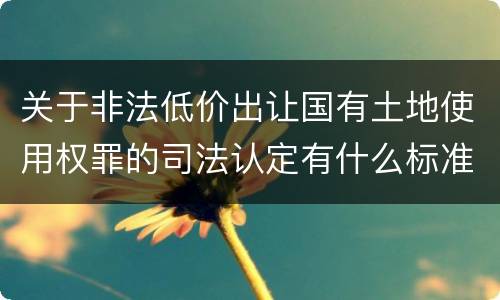 关于非法低价出让国有土地使用权罪的司法认定有什么标准