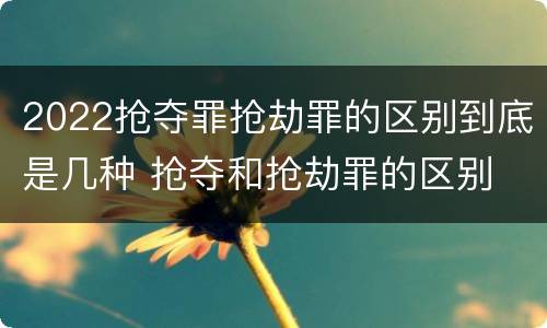 2022抢夺罪抢劫罪的区别到底是几种 抢夺和抢劫罪的区别