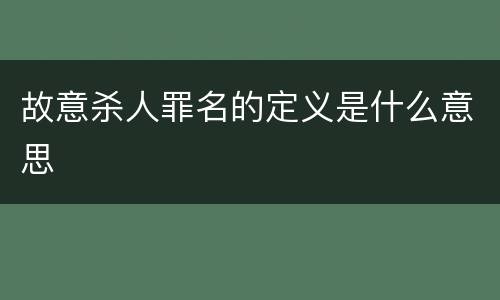 故意杀人罪名的定义是什么意思