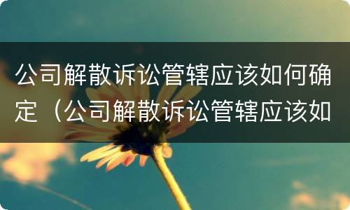 公司解散诉讼管辖应该如何确定（公司解散诉讼管辖应该如何确定责任）