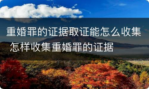 重婚罪的证据取证能怎么收集 怎样收集重婚罪的证据