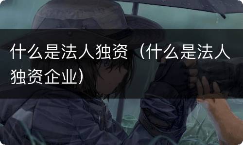 什么是法人独资（什么是法人独资企业）