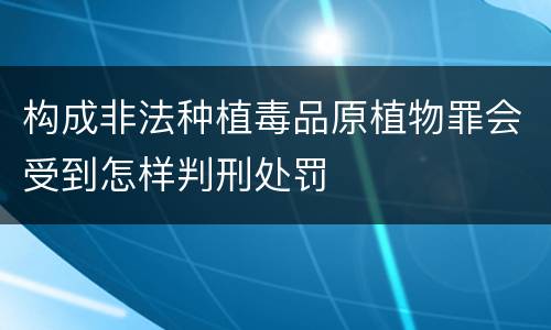 构成非法种植毒品原植物罪会受到怎样判刑处罚