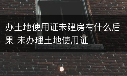 办土地使用证未建房有什么后果 未办理土地使用证
