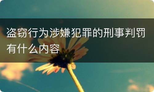 盗窃行为涉嫌犯罪的刑事判罚有什么内容