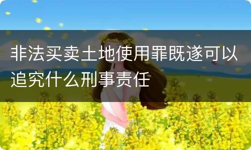 非法买卖土地使用罪既遂可以追究什么刑事责任