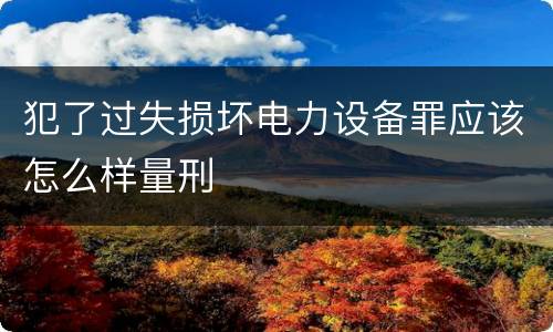 犯了过失损坏电力设备罪应该怎么样量刑