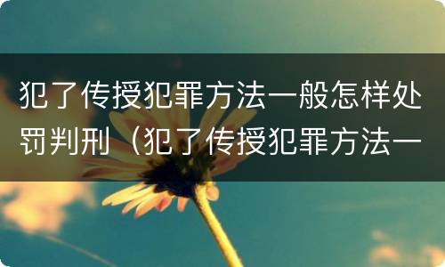 犯了传授犯罪方法一般怎样处罚判刑（犯了传授犯罪方法一般怎样处罚判刑的）