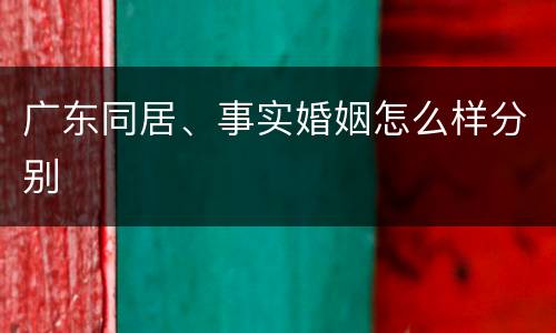 广东同居、事实婚姻怎么样分别