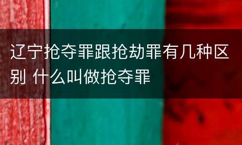 辽宁抢夺罪跟抢劫罪有几种区别 什么叫做抢夺罪