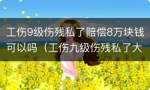 工伤9级伤残私了赔偿8万块钱可以吗（工伤九级伤残私了大概多少钱）