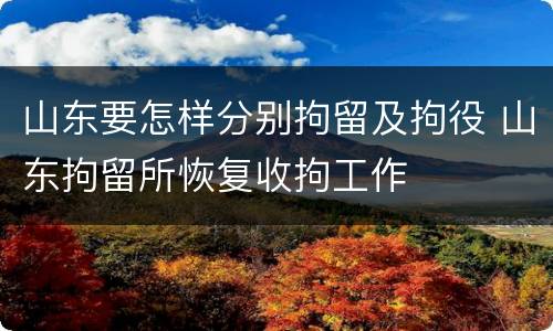 山东要怎样分别拘留及拘役 山东拘留所恢复收拘工作