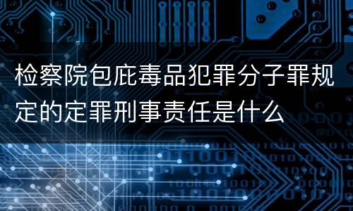 检察院包庇毒品犯罪分子罪规定的定罪刑事责任是什么
