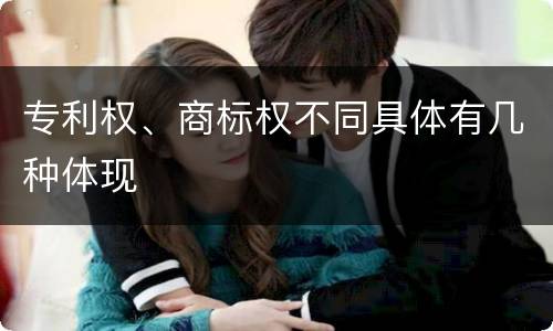 专利权、商标权不同具体有几种体现
