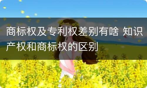 商标权及专利权差别有啥 知识产权和商标权的区别