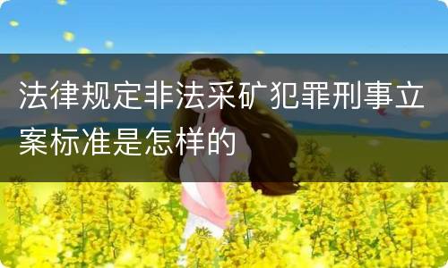 法律规定非法采矿犯罪刑事立案标准是怎样的