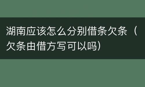 湖南应该怎么分别借条欠条（欠条由借方写可以吗）