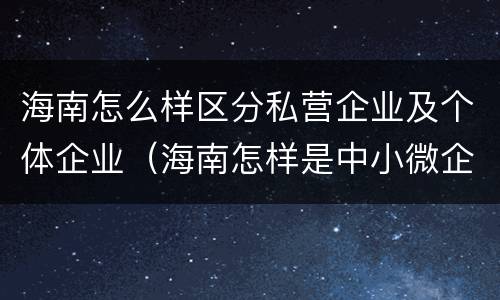 海南怎么样区分私营企业及个体企业（海南怎样是中小微企业怎么划分）