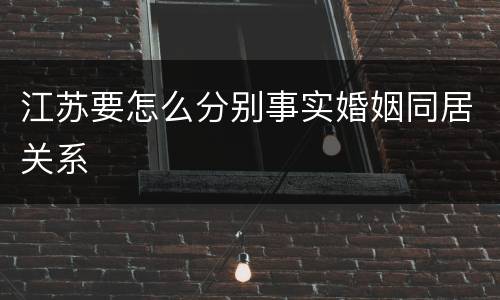 江苏要怎么分别事实婚姻同居关系
