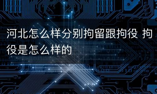 河北怎么样分别拘留跟拘役 拘役是怎么样的