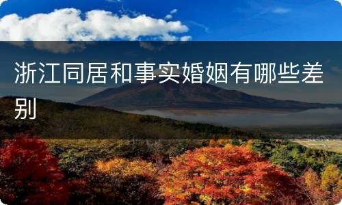 浙江同居和事实婚姻有哪些差别