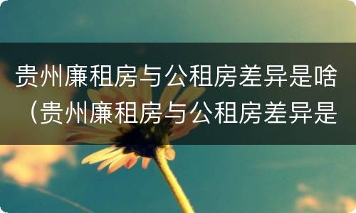 贵州廉租房与公租房差异是啥（贵州廉租房与公租房差异是啥情况）