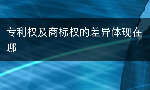 专利权及商标权的差异体现在哪