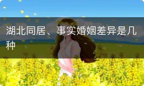 湖北同居、事实婚姻差异是几种