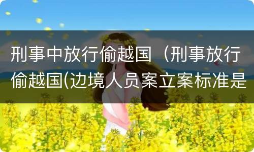 刑事中放行偷越国（刑事放行偷越国(边境人员案立案标准是怎样的）