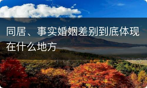 同居、事实婚姻差别到底体现在什么地方