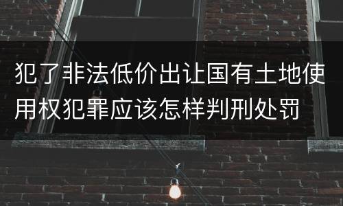 犯了非法低价出让国有土地使用权犯罪应该怎样判刑处罚
