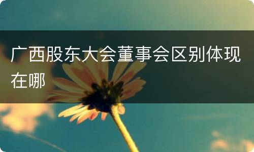 广西股东大会董事会区别体现在哪