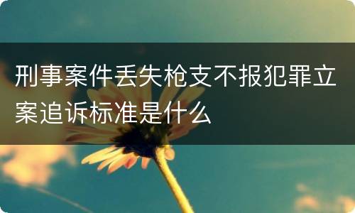 刑事案件丢失枪支不报犯罪立案追诉标准是什么