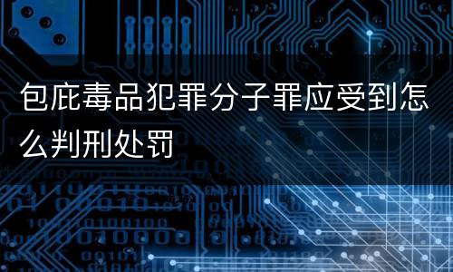 包庇毒品犯罪分子罪应受到怎么判刑处罚