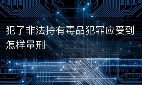 犯了非法持有毒品犯罪应受到怎样量刑
