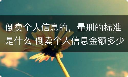 倒卖个人信息的，量刑的标准是什么 倒卖个人信息金额多少算大